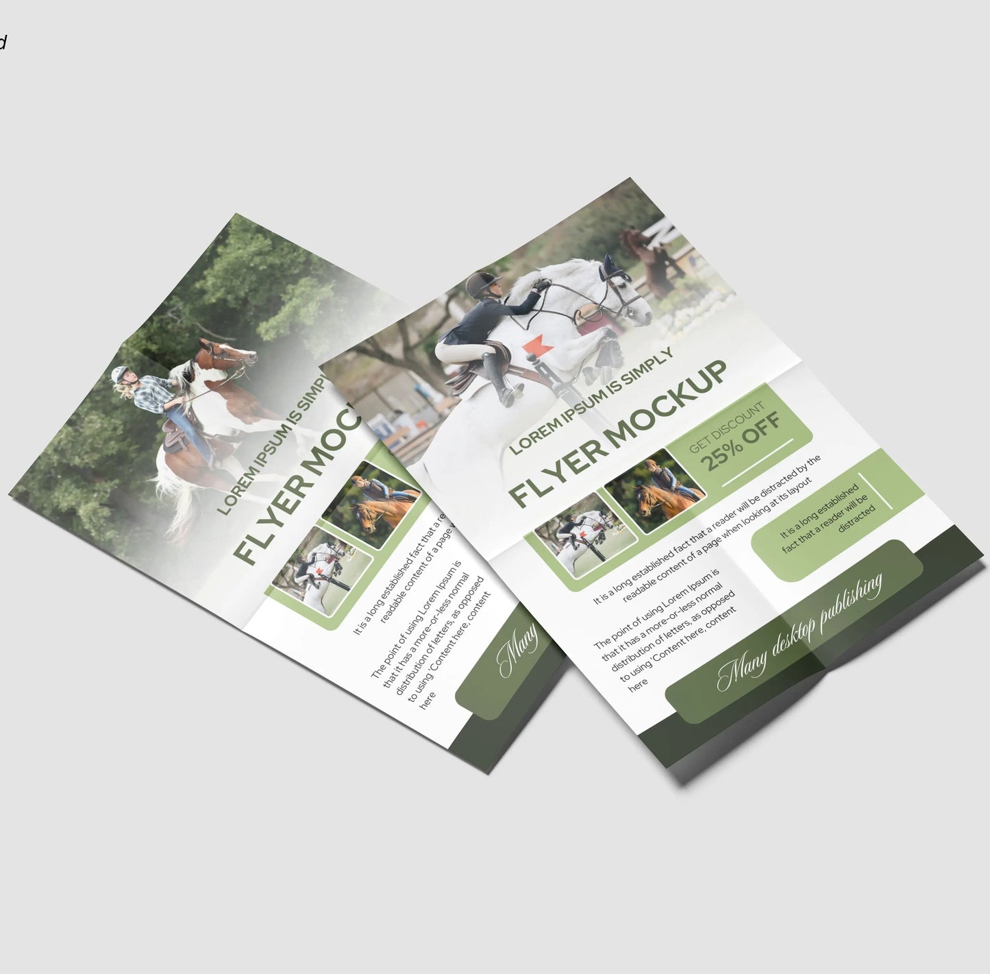 8.5" X 11" Premium Glossy Paper Flyers 100lb Folding Options RedPrinting.com