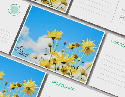 Custom Postcard Printing RedPrinting.com