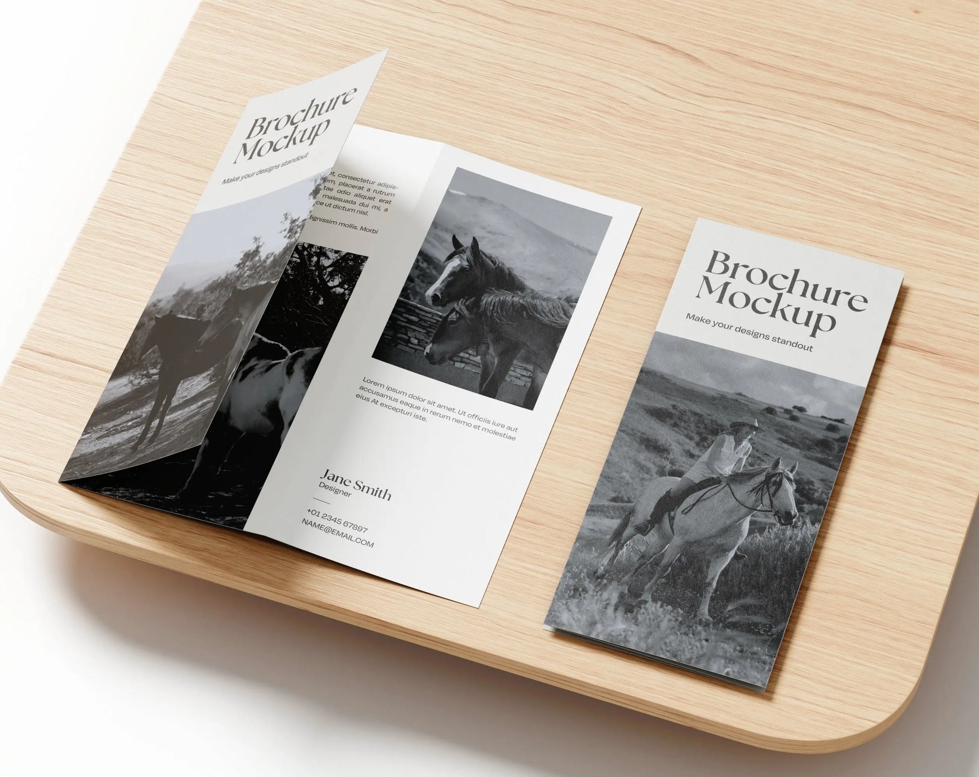 11"x17" Premium Glossy Paper Flyers 100lb Folding Options RedPrinting.com